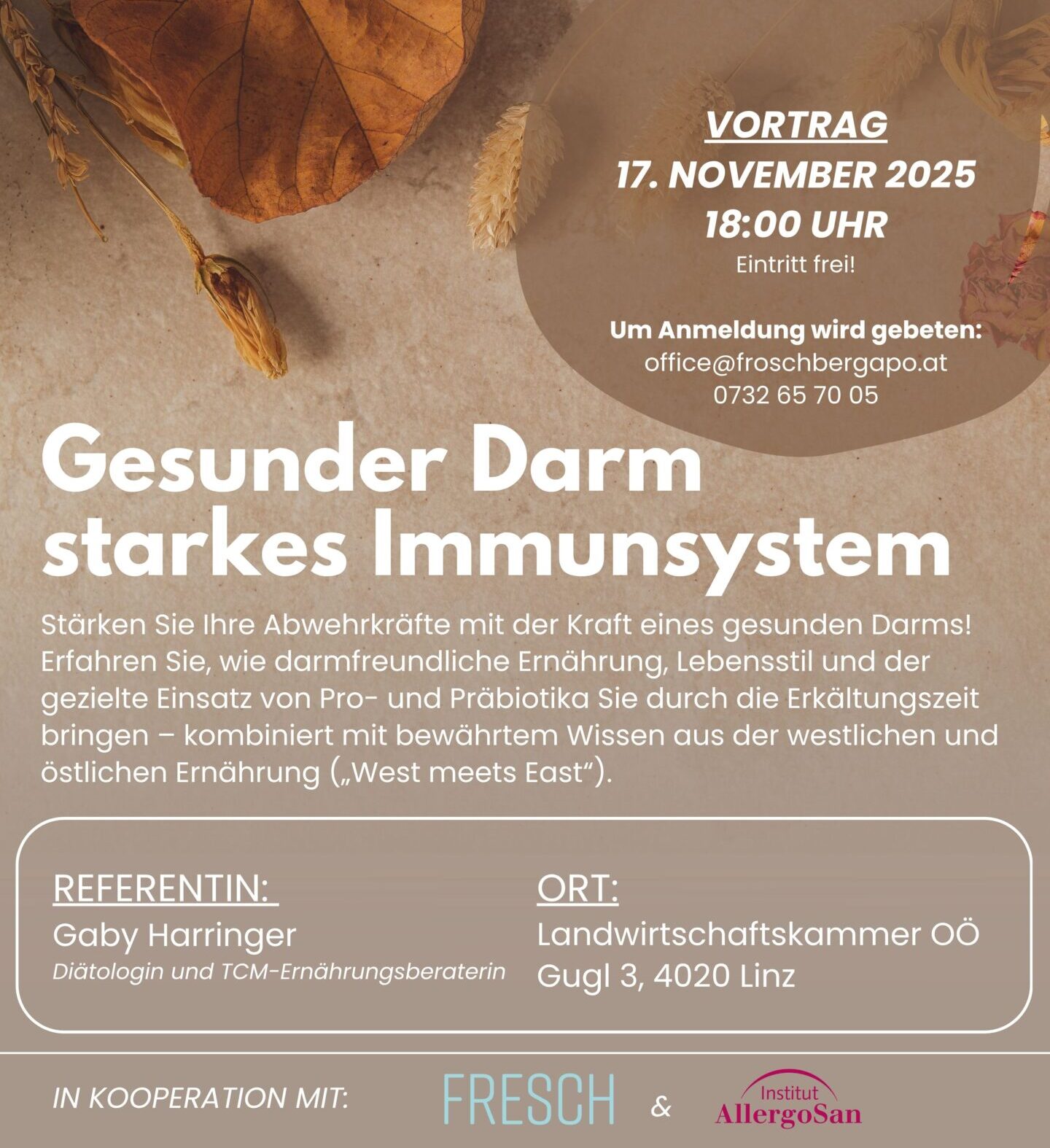 Flyer Vortrag 17. November